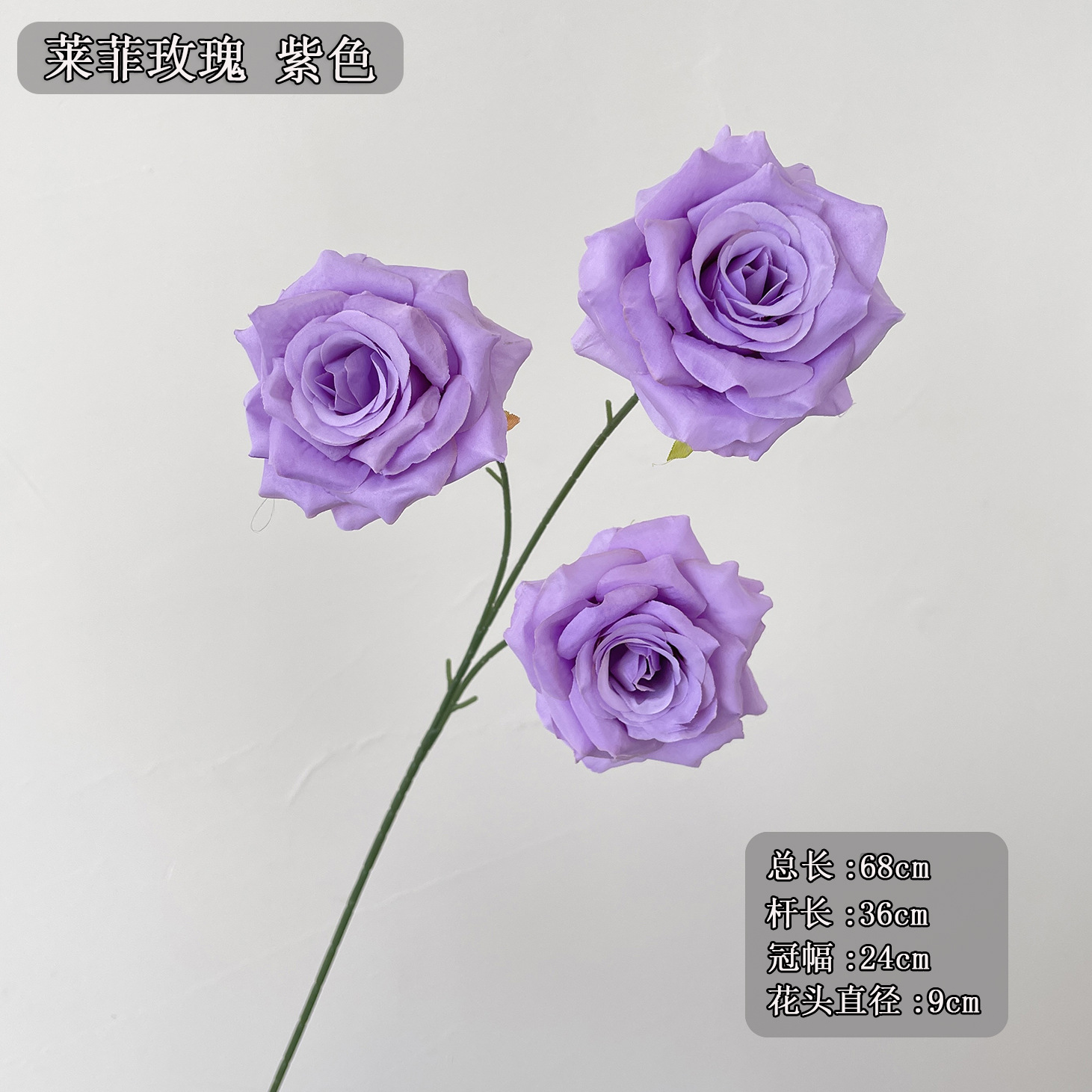3 래피 로즈 퍼플