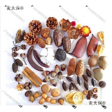 干花装饰棉花橡果松果树枝树叶莲蓬创意幼儿园手工环创材料