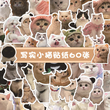 60張寫實小貓貼紙可愛貓咪呆萌表情創意裝飾水杯筆記本手賬小貼畫