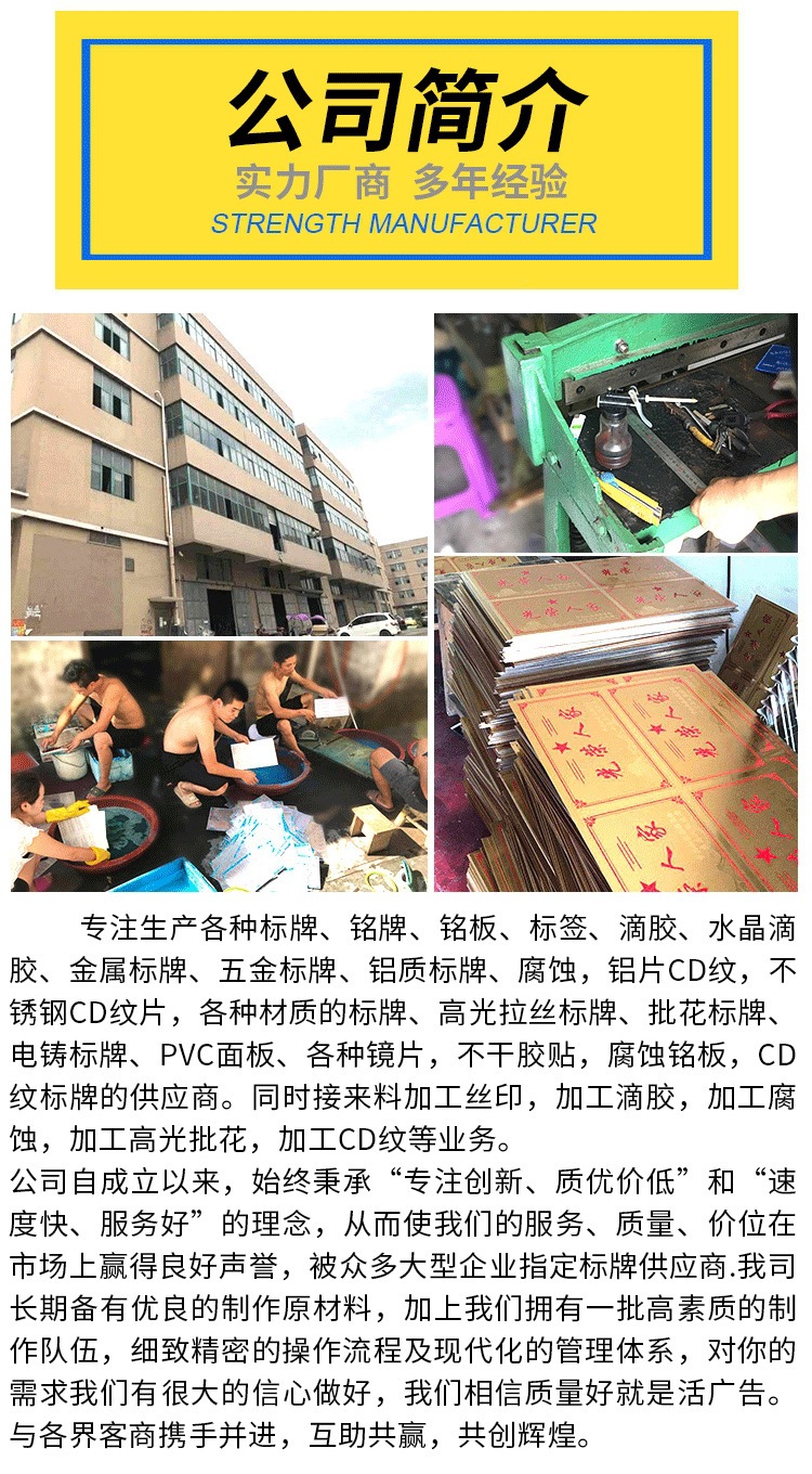 龙金切片-09
