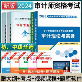 2024初级中级审计师考试教材真题卷审计理论与实务+审计相关知识