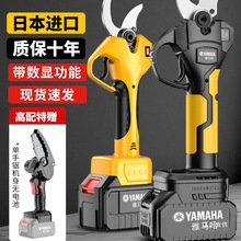 �M�����R��늄Ӽ������ʽ�@����֦�����늼���늼��Ӽ�֦�г�