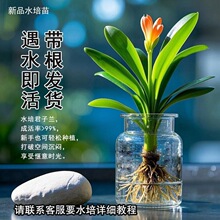 ˮ������m���k������Gֲ�҃ȾGֲˮ��Gֲ�������Դ���