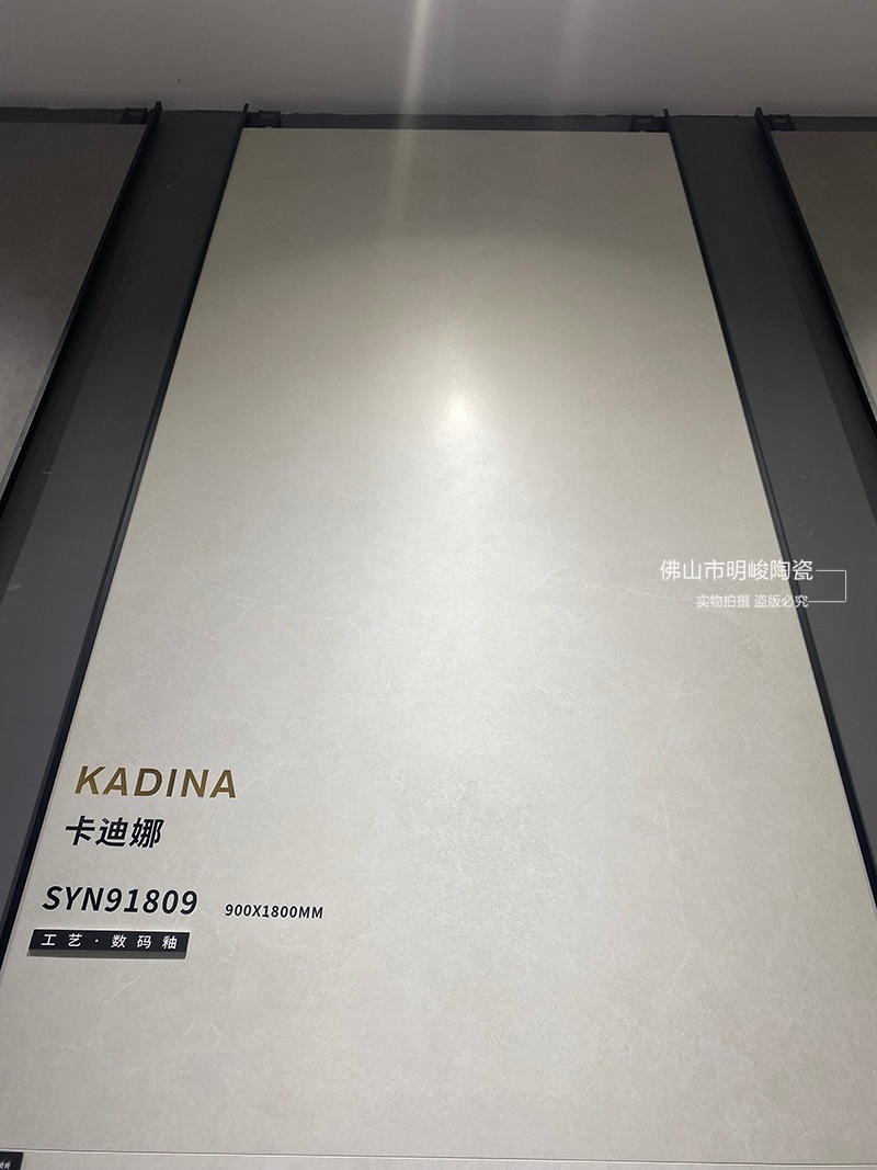 SYN91809.jpg