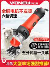 �¿�늄���ë��늼���ʡ������ë����Ӵ����{��늄Ӽ�ë�C