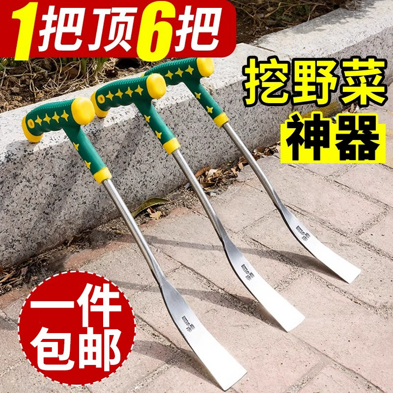 Копать дикие овощи артефакт Копать чеснок