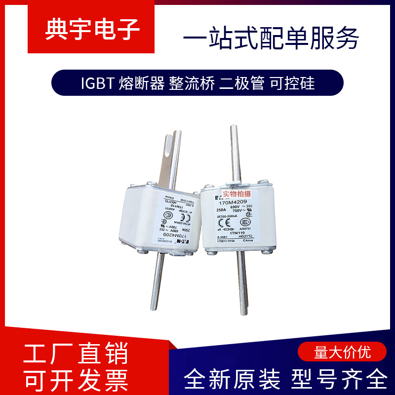 熔断器170M4202 4203 4204 4208 4209 4210 4211 4212型号齐全