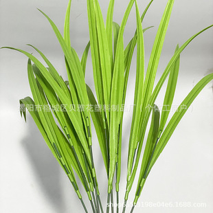 ����Gֲ����b�ˮ���Ѷ��繝������Ѳ݌��~�����JȔ�ݼ�ֲ��