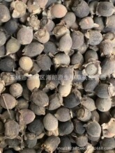 �����]��ɽ�����ҽ������ ÿ��500�� ��ʮ��С�r�l؛