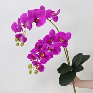 �ߙnins�ٻ��m���P�����Ҿ��b�������m�����[�ſ͏d�m������