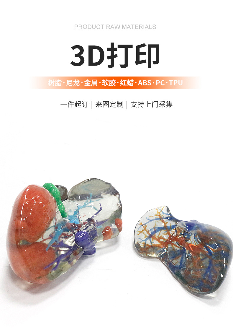 3D Printed Medical Prototype Model, 3D Printed Resin Prototype Model, Rapid Prototyping, Custom Processing from Provided Drawings