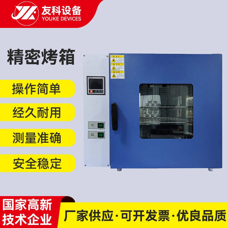 Прецизионная печь из нержавеющей стали 304, интеллектуальный контроль температуры, цифровой дисплей, печь с постоянной температурой, циркуляция горячего воздуха, высокотемпературная промышленная печь