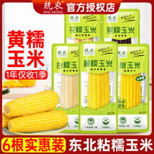 ���r�SŴ����200g����47�Ȗ|�����r�SŴ��������װ���ʳ��հ��b