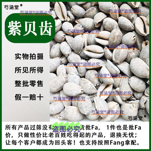 ��ؐ�X��ș����ؐ��ؐ��ؐ���������X��֧�ݰ������Rؐ��ș��