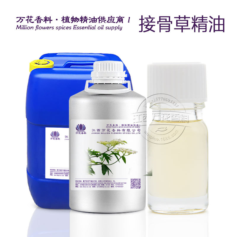 �򻨹�Ӧ�ӹǲݾ��� ����ӹǲ�  �ݱ�ֲ�ﾫ��������ӭ��ѯ�ɹ�