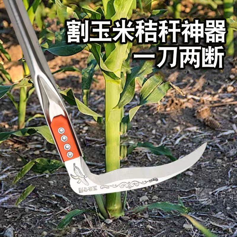 主图·4