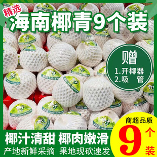 ����Ҭ�����rҬ��9���b�����ЋDˮ��Ҭ���ȥƤ��ˮҬ��������]