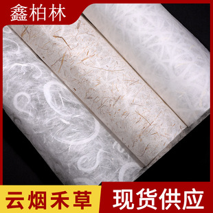 Cloud smoke grid pattern hollowed-out semi-transparent plant grass and paper transparent cloud silk art paper lampshade light box silk paper