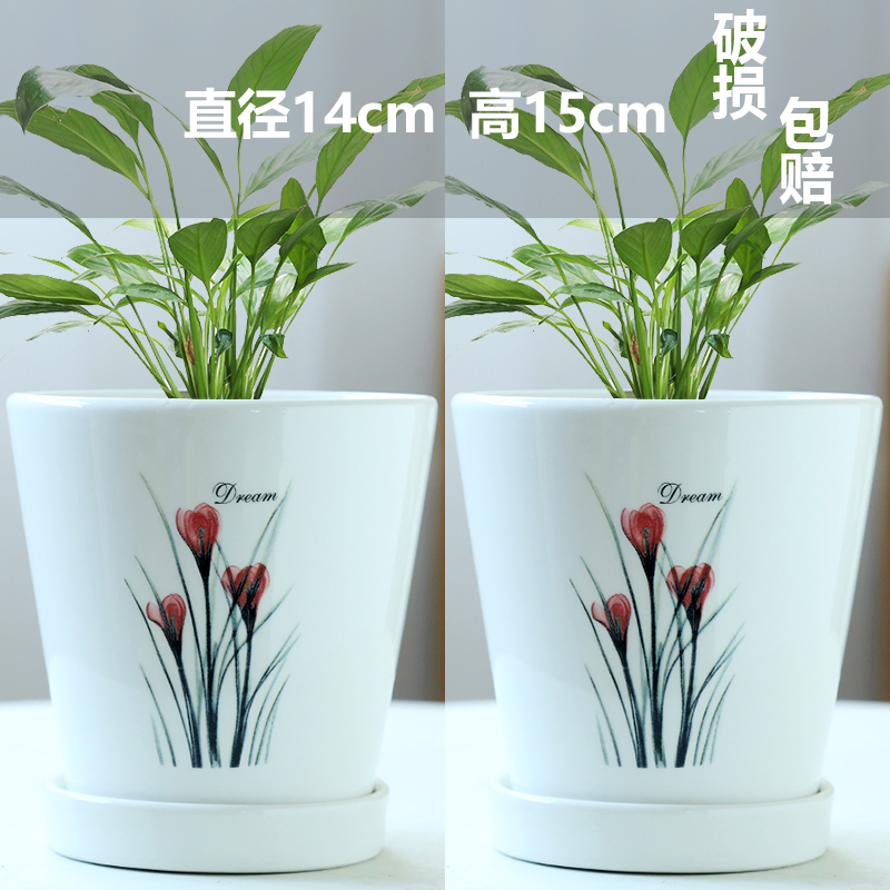 두 개의 더 큰 중간 크기의 꽃 - 세라믹 - 대형