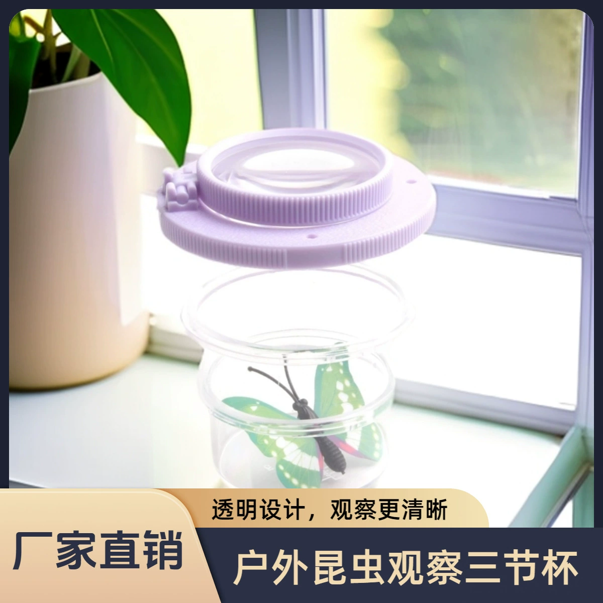 Фабрика прямых продаж Оптовая мульти кинетическая игрушка насекомое цветочная коробка наблюдения с увеличительным стеклом для детей