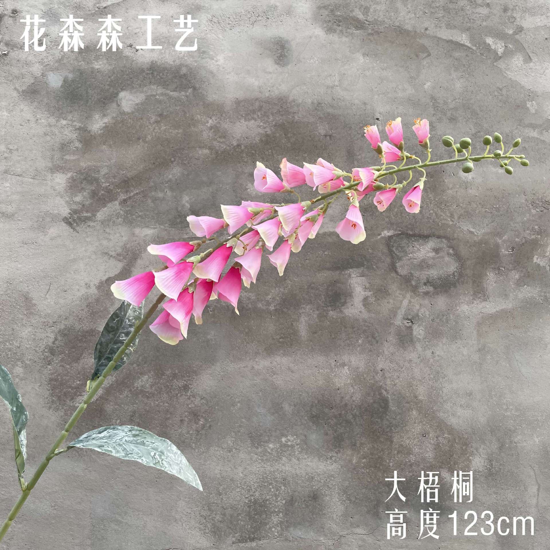 빅 시카 모어 161311