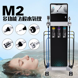 电子美容仪;其他美体瘦身;其他美容仪器