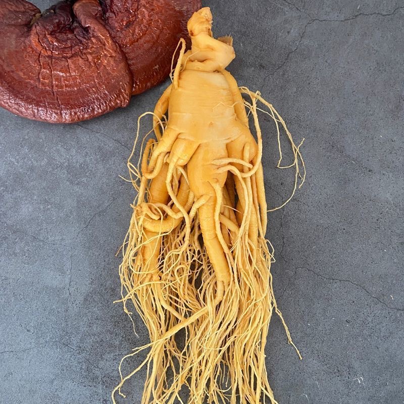 Fresh Ginseng Root (Panax ginseng) — Changbai Mountain Northeast Ginseng for Soup & Tonic Wine key features