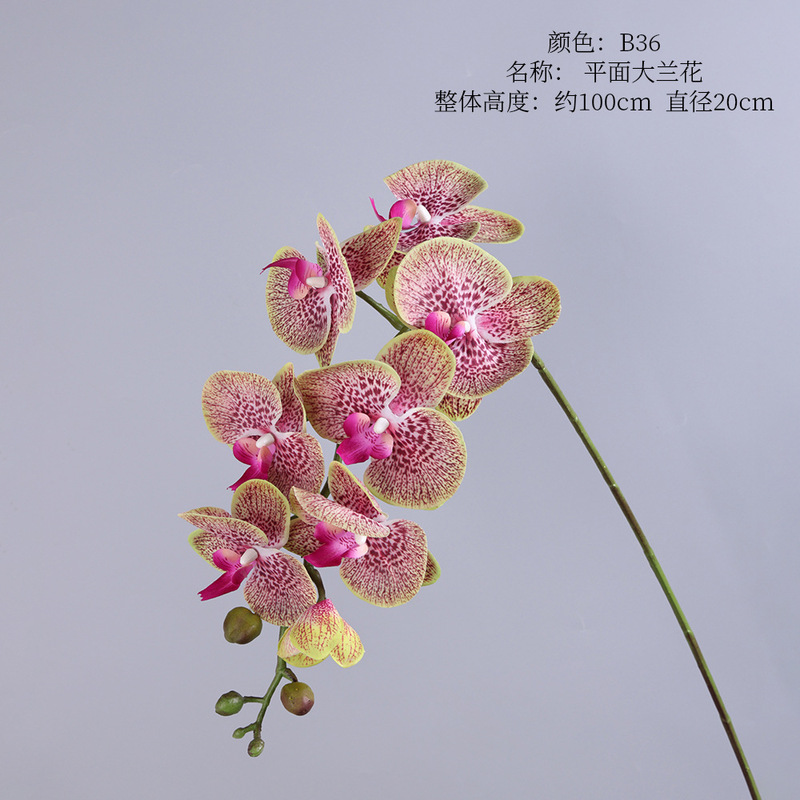 造花感触保湿胡蝶蘭感触大きな蘭の写真撮影の装飾品家の装飾造花卸売|undefined