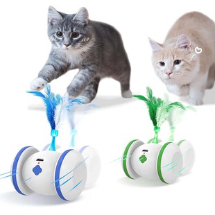 Small Running Wheel Cat Toy with Feathers, Led Light, USB Fun Entertainment, New Cross-Border Pet Cat Stress Relief Toy