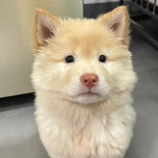 ���A��@Ȯ���N�V����������Ȯ���CȮС������������Ȯ���w����Ȯ