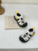 Giant panda color