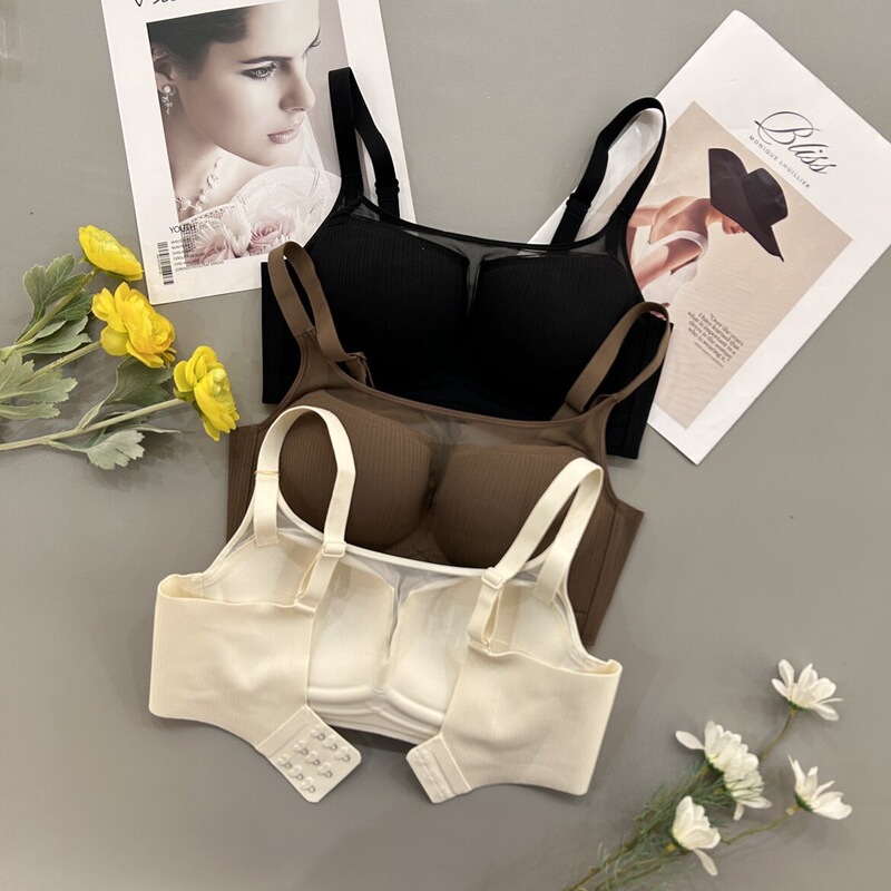 Gufei Sexy Lingerie for Women with Small Busts, Push-Up Hollow-Out Mesh Breathable Bra with Side Support and Anti-Sagging Fixed Cups