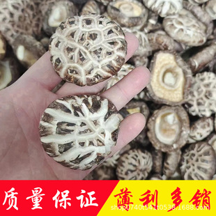 500�˻����a��ֱ�N���l�軨������׻�����؛С�㹽Ģ����������