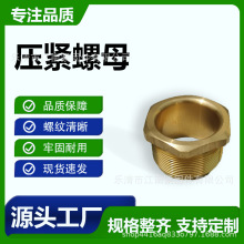 防爆压紧螺母不锈钢/碳钢/铜镀镍压紧螺母防爆锁母堵头防爆堵头