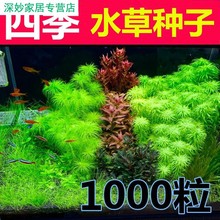 淡水鱼种类 淡水鱼种类品牌 图片 价格 淡水鱼种类批发 阿里巴巴 淡水鱼种类 淡水鱼种类品牌 图片 价格 淡水鱼种类批发 阿里巴巴