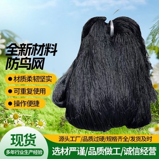 ���B�W �~�����ݴ����]���@��B�W�r�üӴ��Bֳ���Wֲ�������W
