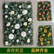 ����ֲ��Gֲ�b������ƺ�T�^�����������ϼٻ����҃Ȳ�Ƥ�̨