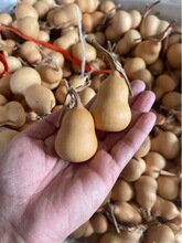 ?�a���ĳǹ�����Ȼ����J��С��������[�����控���^�ֶպ��J