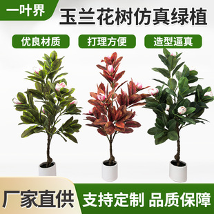 ���m�������Gֲ�٘��҃ȿ͏d��ֲ��������b�ֲ��[����������