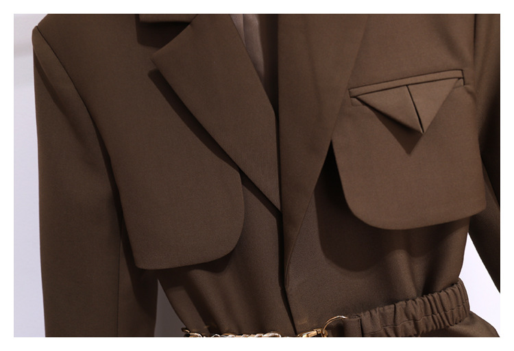 Coupe-vent pour femme, nouveau haut de style coréen, petite veste chic de couleur café, costume haut de gamme pour femme, printemps et automne_voghion.com