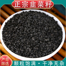 韭菜籽中药材500正品纯韭菜籽子男性泡茶泡酒打粉另售锁阳淫羊藿