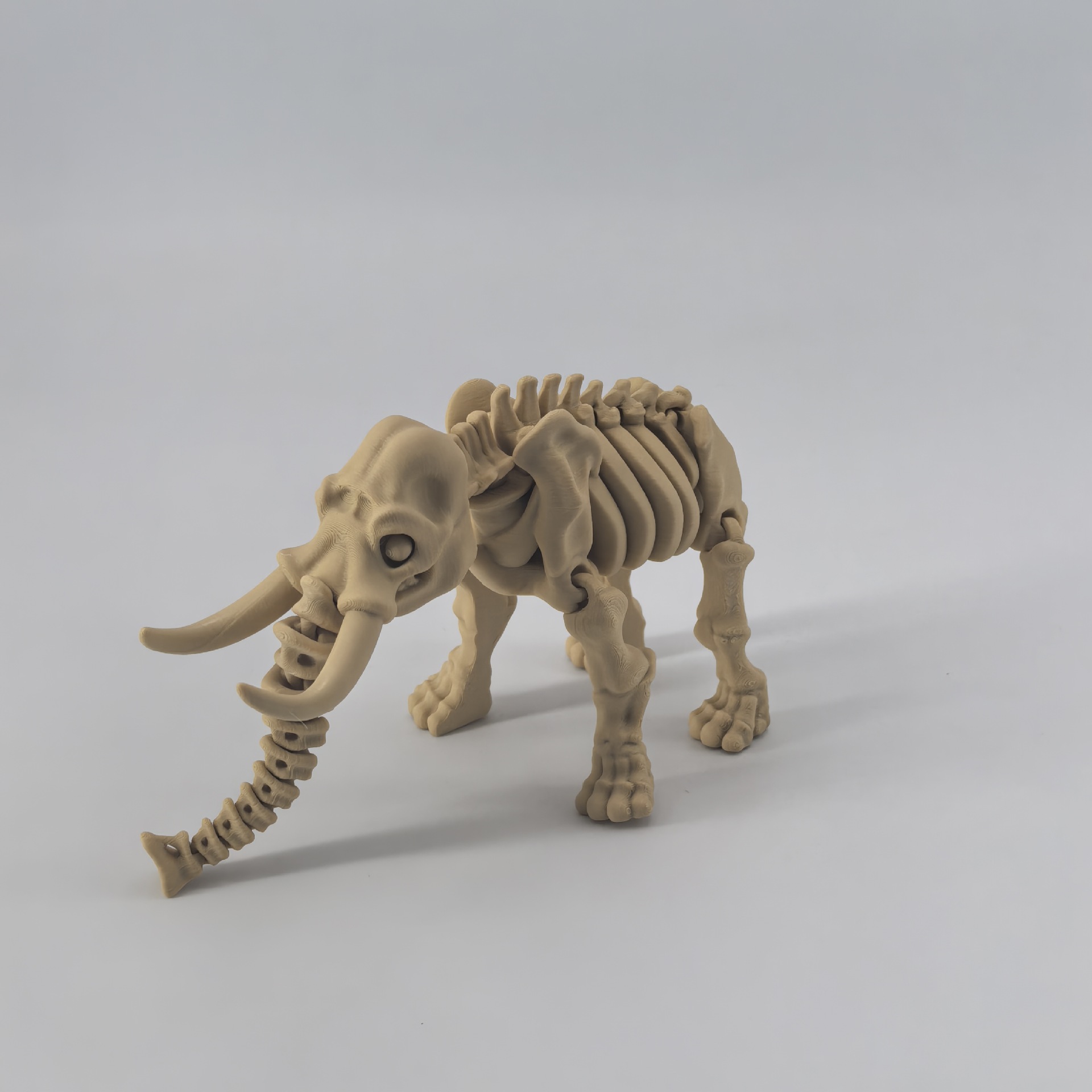 코끼리 - 고전적인 화석 색상