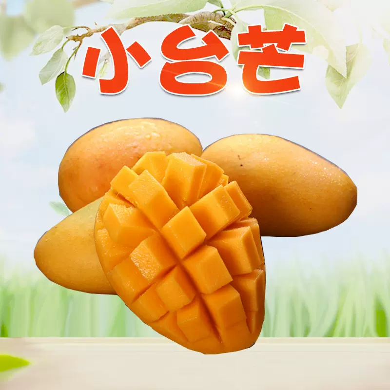海南小台芒 代发5/9斤新鲜甜糯应季热带水果当季台农一号芒果