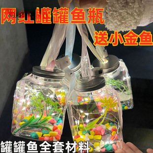 Bubble Fish Bottle Stall Same Style Jar Fish Five-Pointed Star Small Goldfish Materials Complete Set Turtle Glowing Plastic