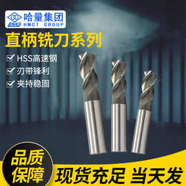 现货供应哈量高速钢直柄立铣刀端面铣刀防腐坚硬直柄键槽铣刀批发