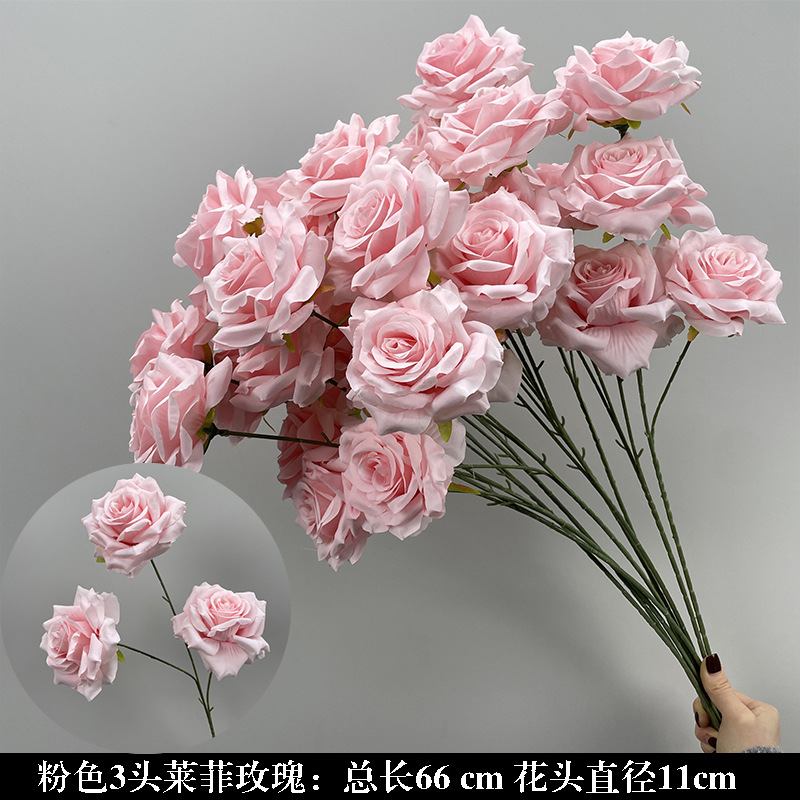 핑크 3 레피 장미