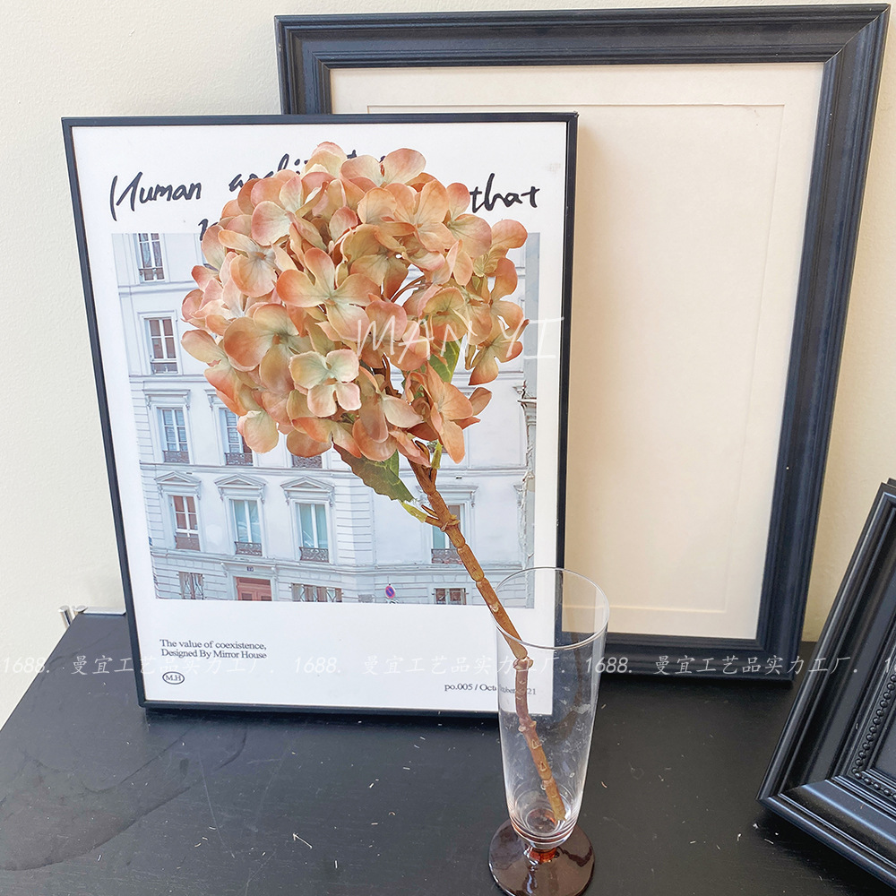 Hortensia de madera de jardín champán