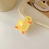 Cute duck