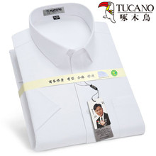 ��ľ�B���r����ʿ�����̄����b�I�ϰ����b���L���{ɫ�r���޹��b