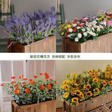 ���滨���տ�޹�²ݑ���ٻ��������ϻ��Gֲ���仨���L�l�řڲ廨